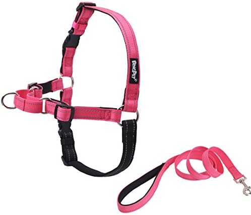 PetTa Reflective Stitching Easy Walk No Pull Dog Padded Harness With Matching Leash Pink M
