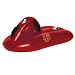Florida State Team Sled