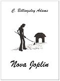 Nova Joplin