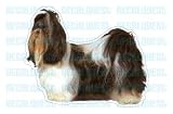 SHIH TZU - Dog Decal - sticker dogs car got graphic