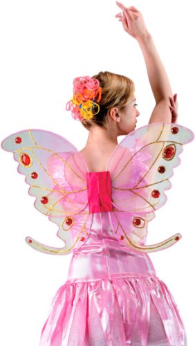 Adult Jeweled Fairy Costume Wings