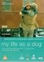 My Life as a Dog