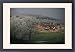 Framed Prints of View of village of Chailly with frost covered trees, Bourgogne, France, Europe from Robert Harding