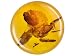 Jewelry : MIN 1.50CT 10MM ROUND HEATED AMBER FROM BALTIC