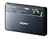SONY �f�W�^���J���� Cybershot TX9 (1220����fCMOS/���wx4/�f�W�^��x8) �O���[ DSC-TX9/H