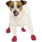 Dog Boots Pawz Set of 12 Medium