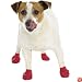 Dog Boots Pawz Set of 12 Small