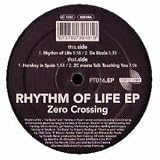 Rhythm of Life Ep [12" VINYL]