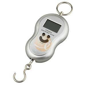40Kg 28g Digital Hanging Luggage Fishing Weight Scale