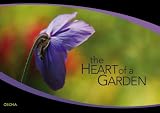 Review Oscha Digital Media Distribution Ltd  / The Heart of a Garden