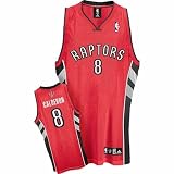 100% Authentic Polyester Toronto Raptors Jersey
