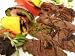 Bison Skirt Steak, Case