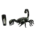 Special Action R/C Series Scorpion