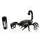 Special Action R/C Series Scorpion