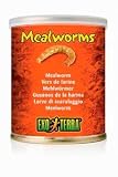MEAL WORMS 2.4 OZ 36