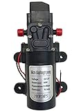 小型 電動 ウォーターポンプ DC 12V ミニ 軽量 自動 停止 散水 洗車 アウトドア (a ニップル：取付サイズ直径10mm) hs-2