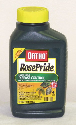 Scotts Ortho Business Grp Rosepride Rose Shrub Disease 16 Ounces Pack Of 6 - 0295160