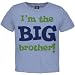 I'm The Big Brother Toddler T-Shirt