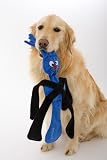 Doggles Sillypulls Large Blue Pet Toy