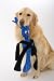 Doggles Sillypulls Large Blue Pet Toy