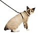 Cat Harness - Savvy Tabby Green Camo Cat Harness w/Matching Lead