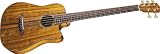 Fender Victor Bailey Signature 5-String Acoustic-Electric Bass, Natural