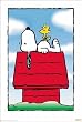 Peanuts - Snoopy's Dog House Poster