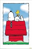 Peanuts - Snoopy's Dog House Poster