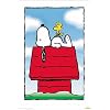 Peanuts - TV Show Poster (Size: 27'' x 40'')