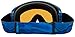 Dragon Alliance D1 Ski Goggles
