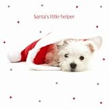 Kitchen & Housewares : Winter Warmers Westie Luxury Christmas Card Pack