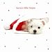 Kitchen & Housewares : Winter Warmers Westie Luxury Christmas Card Pack