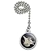 GRAPHICS & MORE Sugar Glider of The Night Ceiling Fan and Light Pull Chain