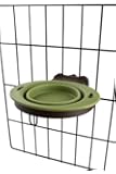 Dexas Popware for Pets Pivot Collapsible Kennel Cup, Small, Green