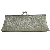 Susan Beaded Silver Evening Bag