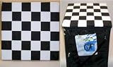 Checkered Seat Cushion/Tote - NASCAR