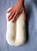 Infant Support Pillow by New Native - Natural Twill
