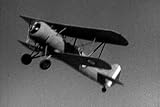 Stuntman Adventure Film: Sky Patrol 1939 [DVD] Starring Milburn Stone, Jackie Coogan, Jason Robards and Marjorie Reynolds.