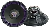 Pyramid WH1238 12'' 300 Watt Woofer