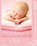 Baby Love 2009 Taschenkalender - Rachael Hale