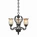 1443 - Unexpected Iron Chandelier
