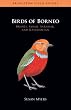 Birds of Borneo: Brunei, Sabah, Sarawak, and Kalimantan