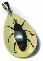 Glow in the Dark Weevil Pendant