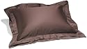 Pinzon Hotel Banded Egyptian Cotton Sateen Standard Sham, Espresso