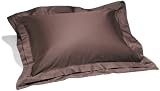 Pinzon Hotel Banded Egyptian Cotton Sateen Standard Sham, Espresso