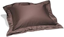 Pinzon Hotel Banded Egyptian Cotton Sateen Standard Sham, Espresso