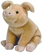 TY Beanie Buddies Wilbur  - Charlotte's Web  Pig