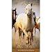 (4x7) Horses 2013-14 Pocket Planner Calendar