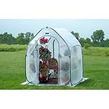 Plant Greenhouse - 5&acirc;��