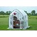 Plant Greenhouse - 5&acirc;��